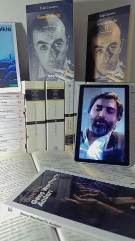 #kurtlarvadisiailesi #kurtlarvadisikaos #kurtlarvadisipolat #memati #kurtlarvadisi 