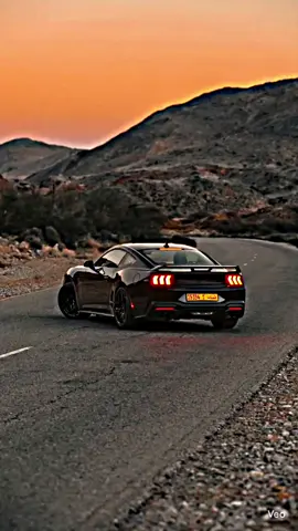 #موستنج_جي_تي #الحنطور_السريع #موستنج_شلبي #الاشباح_الامريكيه💪🔥 #الوحش_الامريكي🔥🔥💪🏿 