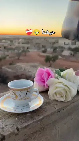 #حيش نبض القلب ❤️‍🩹🥹