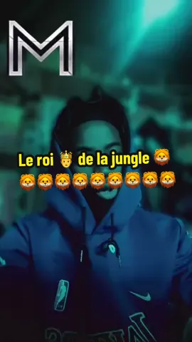🦁 🦁 🦁 Le roi 🤴 de la jungle le plus fort 💪 #motivation #developpementpersonnel #mindestmotivation #fyp #CapCut 