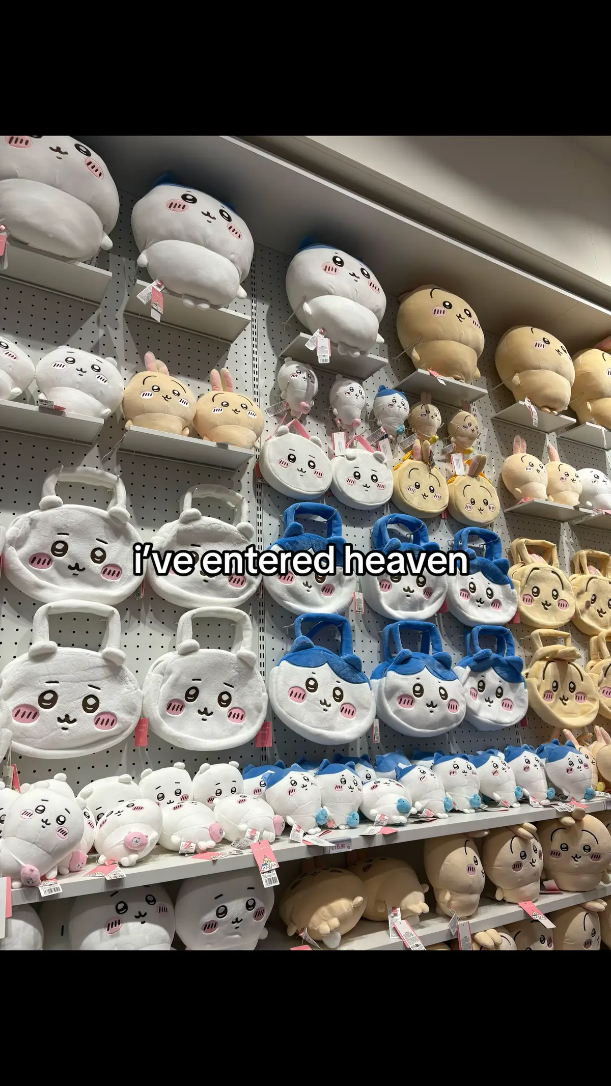 stumbled across the motherload  #fyp #chiikawa #hachiware #usagi #miniso