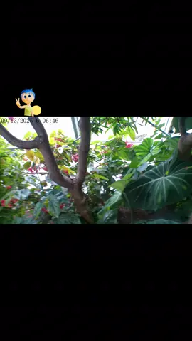 definitely a core memory. #joy 