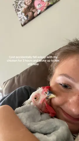 I don’t think you understand how melted my heart was #fyp #chicken