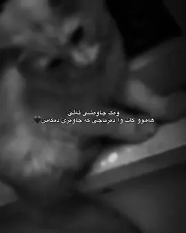 هەموو کات وا دەرناچێ کە چاوەڕێ ئەکەین🖤. #foryoupage #for #me #justme #1:11am