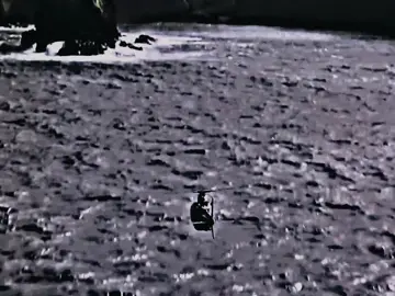 Jurassic park/world - edit  quedó hermoso ame 🥹 #jurassicworld #jurassicpark #dinosaur #edit #jw 