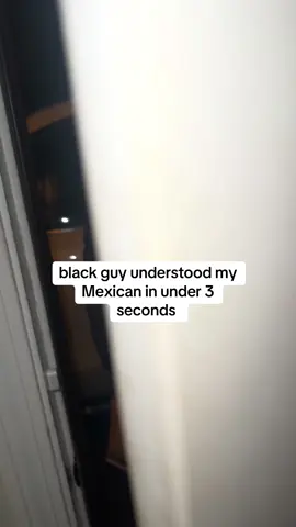 These are perfect for traveling #translate #translationearbuds #translatingearbuds #translatingearbuds 