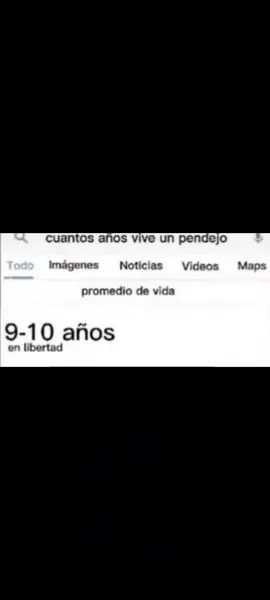 sigo vivo