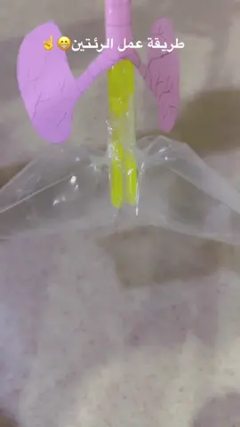 تجربة التنفس🫁👃 #روضه #اكسبلور 