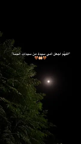 #امي #اللهم_امين #یارب_العالمیــــــــــن🤲🏻🥺 