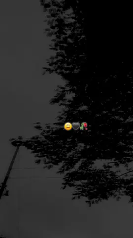 De rodillas te pido 🥀🖤Ella fue una aventura #paratiiiiiiiiiiiiiiiiiiiiiiiiiiiiiii #fypシ゚ #derodillastepido #losalegresdelasierra #fyppppppppppppppppppppppp #🥀🥀🥀 #🥹🥹🥹 