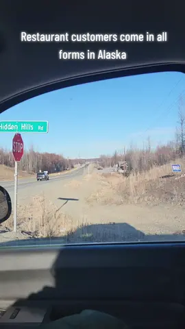 A nice throwback to one of our favorite videos. Check out those merging skills! 😅👏 We love when people come in for lunch in any way they can. 🚙🚚🛬🚁 #alaskanstyle #mergeking #alaskanbushplane #sheepcreeklodge #milepost88 