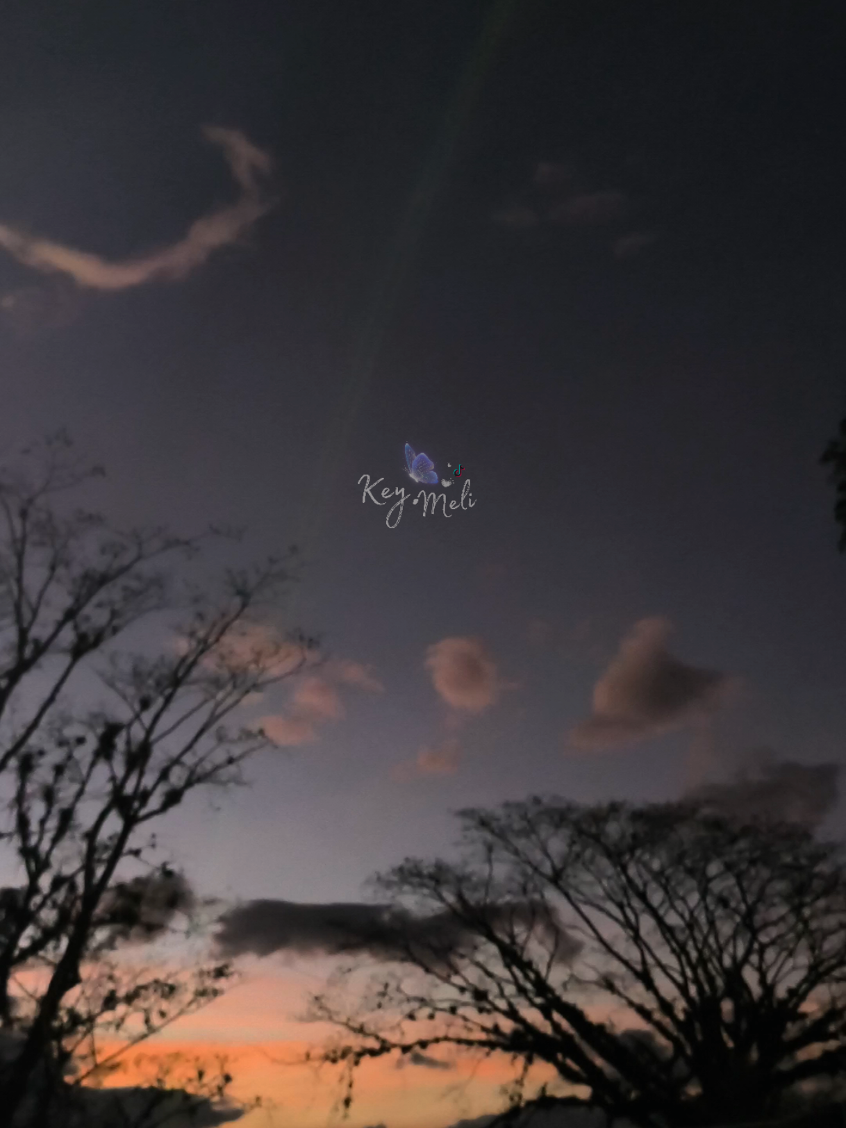 Mujer virtuosa, ¿quién la hallará? Porque su estima sobrepasa largamente a la de las piedras preciosas ✨ #fyp #hagamosviralajesus 