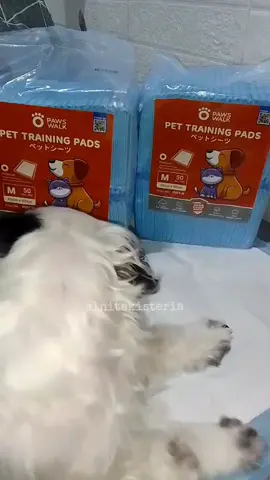 B1T1 pee pads for our fur babies #furbabies 