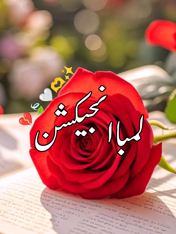 #Mujahid.writes#Urdu shayari#studio#shayari #Unfreeze.account   account you