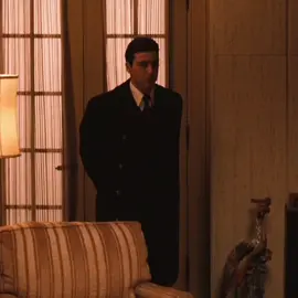 Michael Corleone#The Godfather#Italian mafia#