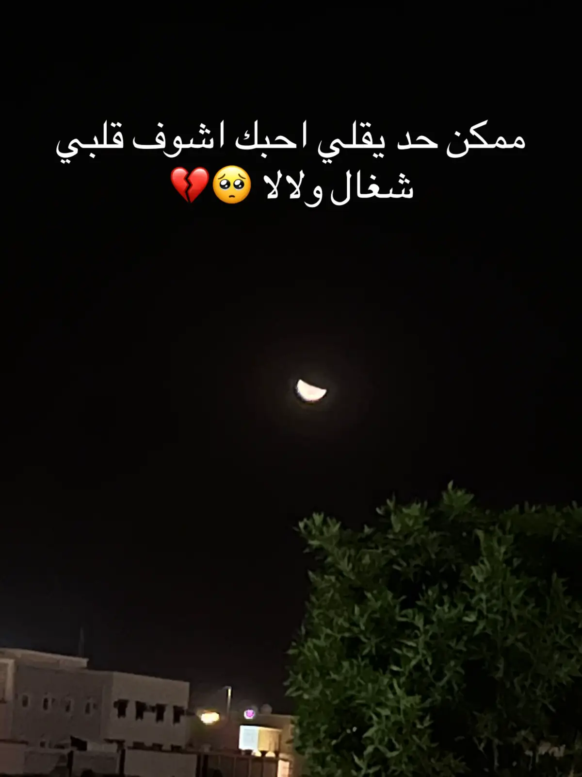 #ممكن حد يقلي احبك 