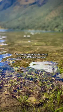 #fyp #paratiiiiiiiiiiiiiiiiiiiiiiiiiiiiiii 