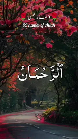 ‎القرآن الکریم 🌹🌹❤ #quran #quranicquotes #islamicreminders #islamicreelsvideo #growmyaccount           