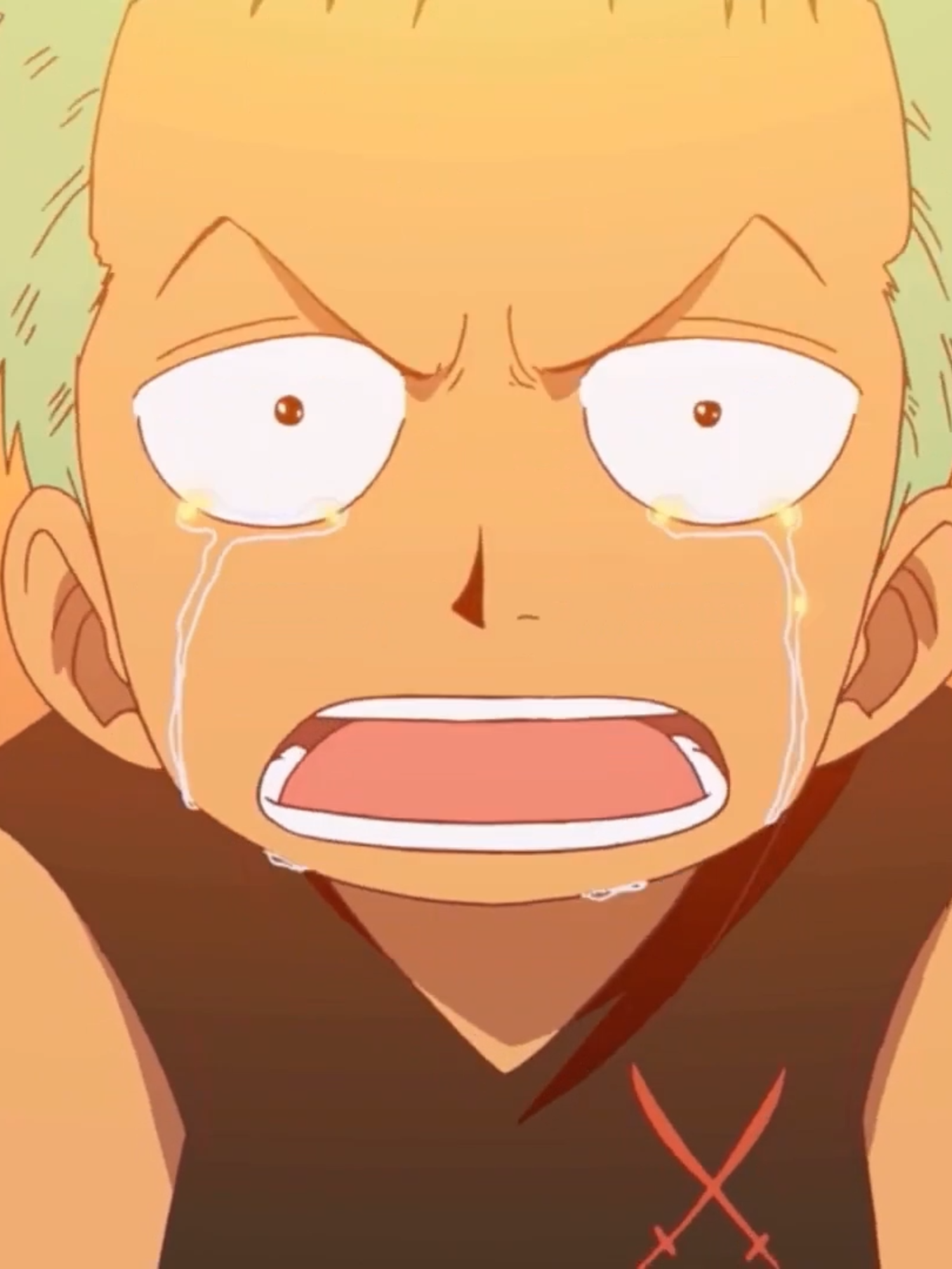 nothing happened | #onepiece #zoro #roranorazoro #nothinghappened #rhianna #wherehaveyoubeen #edit #edits #fyp #fypシ #peak #wano #first