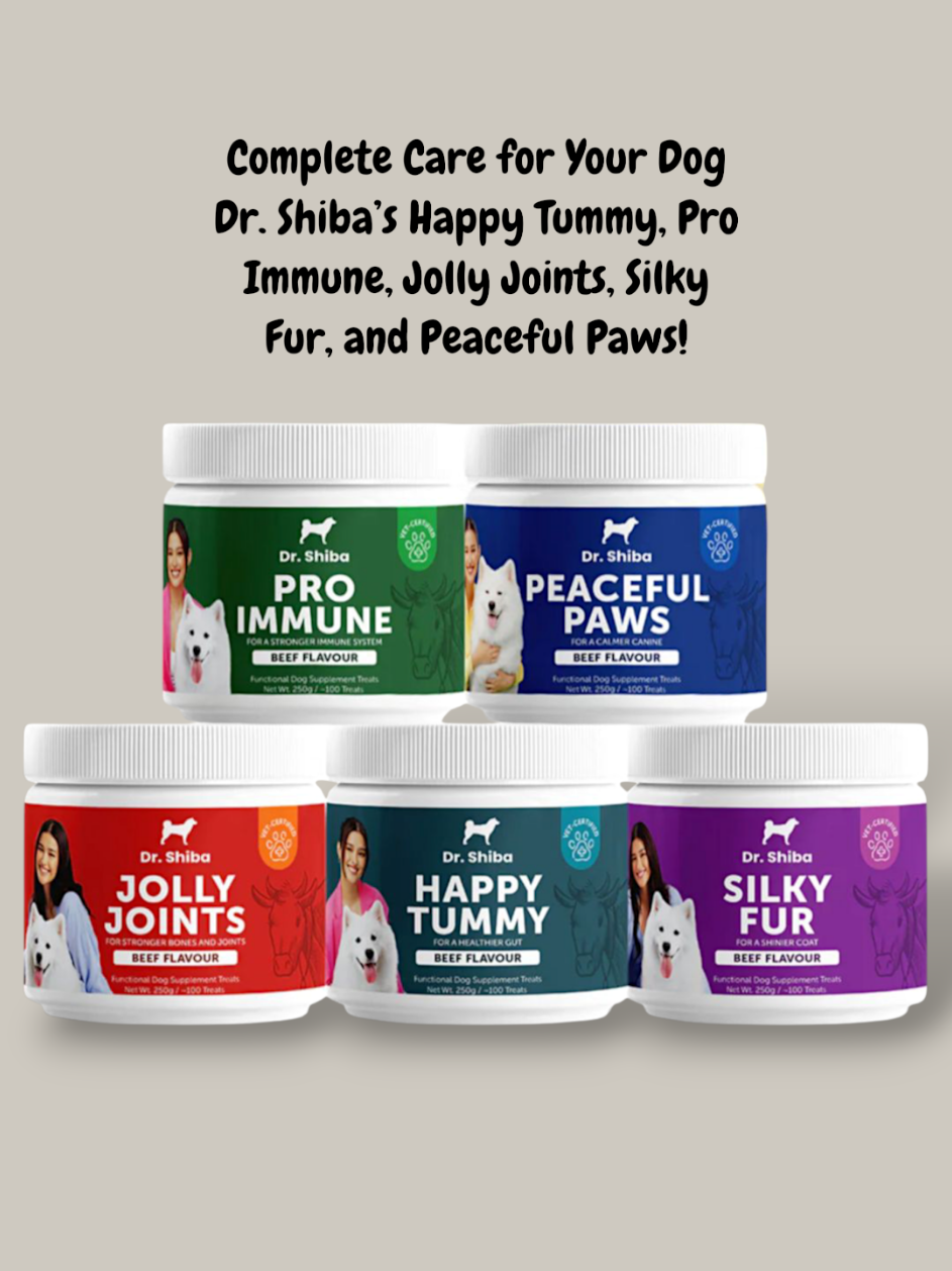 Complete Care for Your Dog Dr. Shiba’s Happy Tummy, Pro Immune, Jolly Joints, Silky Fur, and Peaceful Paws! #drshiba  #happytummy  #proimmune  #jollyjoints  #creatorsearchinsights 