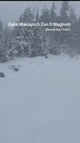 Bayno liya !! #ski#morocco🇲🇦 #fy #fyp #humour 