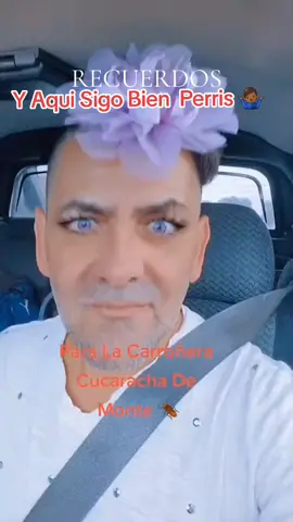 Sorpresa Prris Aqui Ando Toda Via Y Seguire Brillando Comó Nunca MI Vida  Sip Canijo@s Bueno Tengan Feliz 15/16 De September Dia De Muestra Independencia Méxicana Ajuaaa Arriba 🇲🇽 Cabriones 🙏🐩🐩🐩🤴🤴👸👸🌍❤️🙏  #LIVEIncentiveProgram #JustGoLIVE #PaidPartnership #muñecovalentinoensuclasedeactor #fly #paratiiiiiiiiiiiiiiiiiiiiiiiiiiiiiii #koko #chanel #muñeco #valentino #paratupajina #flypシ #Parati #perritos #tiktokscenestealercontest #muñecovalentinoitssobeutiful #chanelymuñecovalentinotopmodels #ticktokeraschanelkokomuñecovalentino 