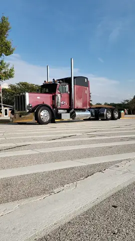 #18 #ladyofthenight #onebadbitch #rightforflight #nocoastlargecars 