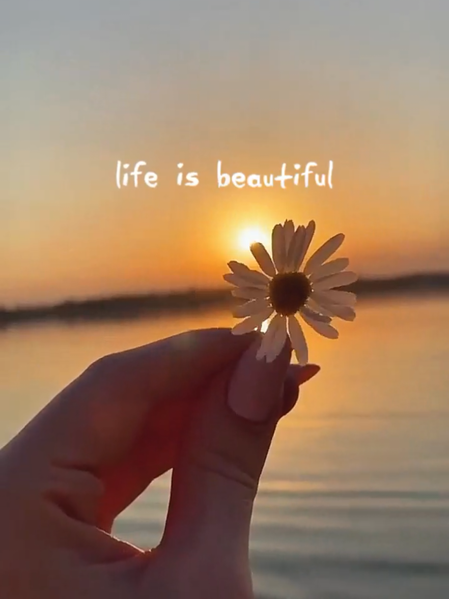 Life is beautiful  #qoutes #message #inspirational #poetry #CapCut 