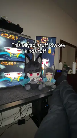 Is this niche? #fyp #zenlesszonezero #hoshimimiyabizzz #hoyoverse #hoyocreators 