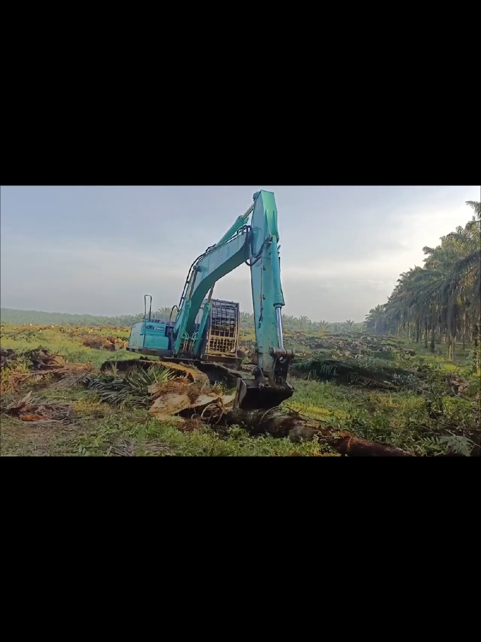 excavator skills #fyp #excavator #viral #viraltiktok #trending 