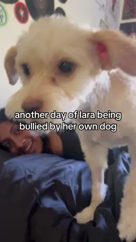 “i have to assert dominance” idt the dog cares lara 😭 cc: sophia’s weverse dms #katseye #sophialaforteza #lararaj 