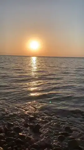 بيني وبينك غربةٍ كنها الليل ماعاد يذكرنى مكان التلاقي .. ارحل مع النسيان وبرحل مع سهيل ماعاد في قلبي لك اليوم باقي ....... #عبد_الكريم_عبد_القادر #الصوت_الجريح #ابو_خالد #بيني_وبينك #الزمن_الجميل 