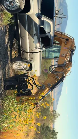 beautiful isn’t it?