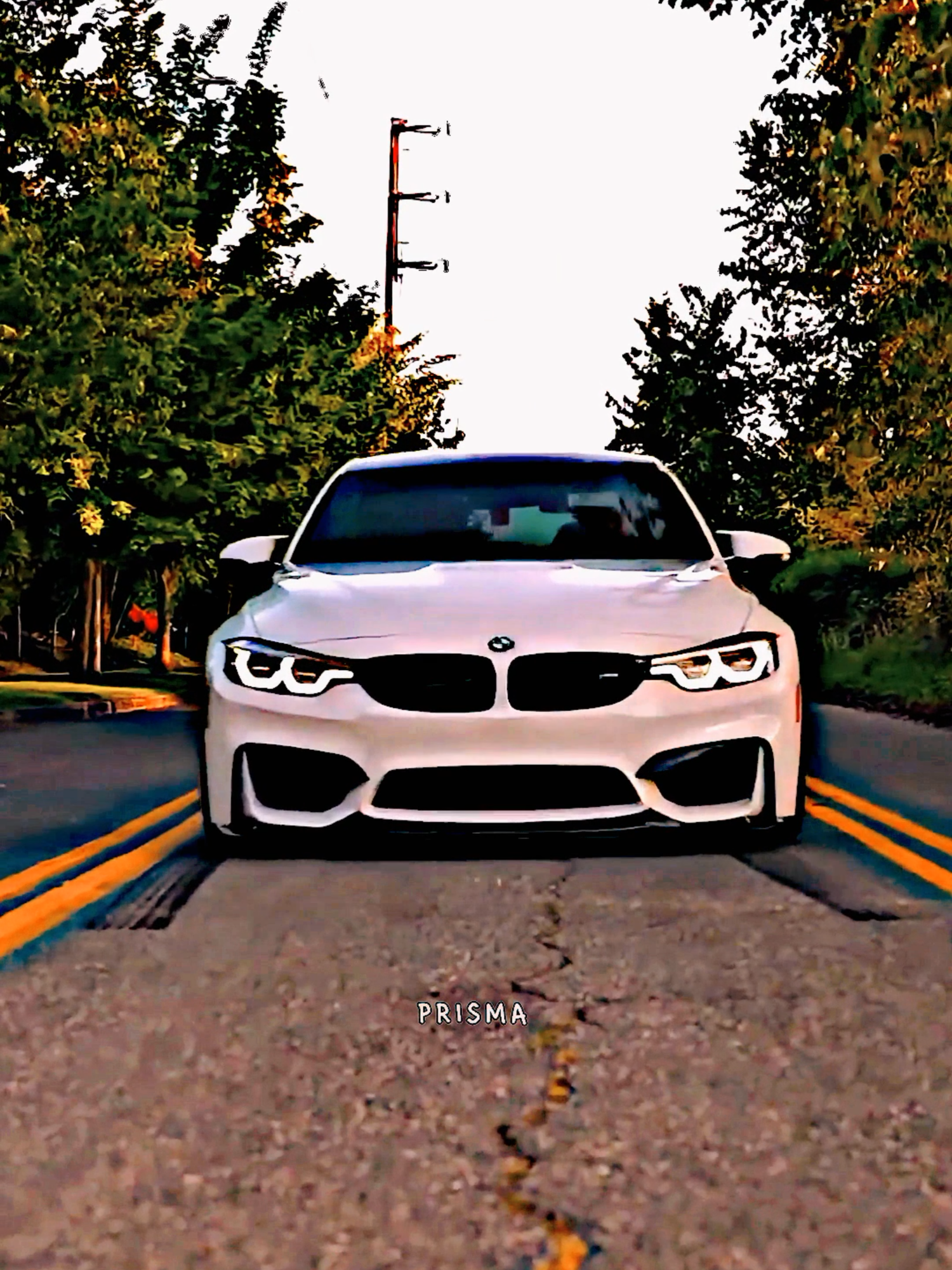 BMW 4K EDIT 😍👌 📽@ Director T | #bmw #edit #prisma💎 #carsontiktok #caredit #smooth