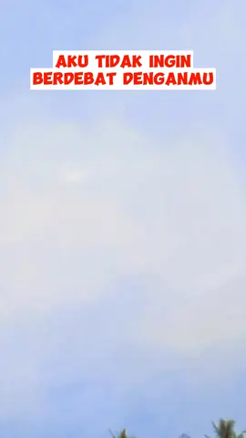 Aku tidak ingin berdebat dengan mu.  #TidakInginBerdebat #AkuSudahCapek #DiamItuEmas #LebihBaikDiam #AkuMengalahSaja #HentikanPerdebatan #TidakPerluRibut