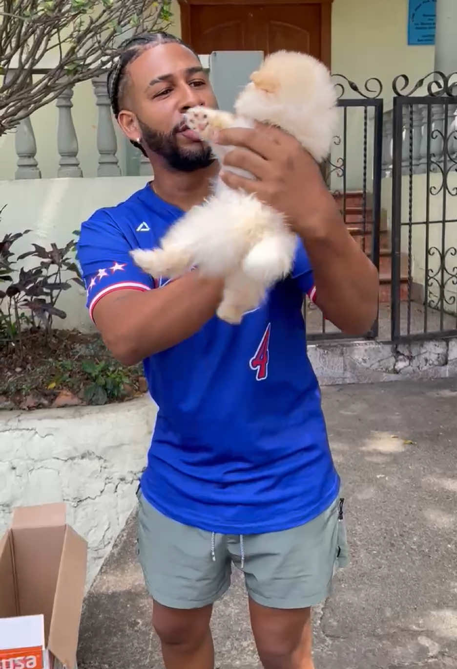 Pomerania exoticos de verdad🇩🇴una creación en los laboratorios @zoe_lahusky 🥰su santo dios que belleza #canino #cachorro #exoticos #mascotas 