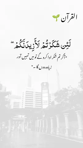 Beautiful Islamic Video 🥀  #HadithOfTheDay  #IslamicPosts  #QuranQuotes  #IslamicKnowledge  #NamazReminder 