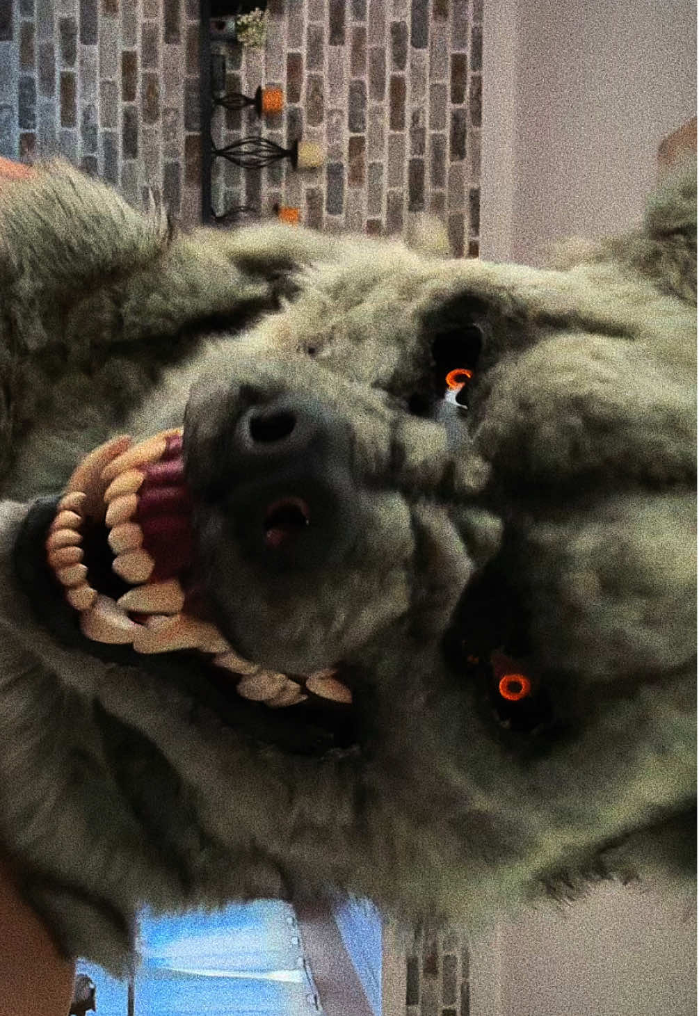 Bite bite bite bite 🎃 🐺 #werewolf #werewolfcostume #scareactor #halloween #horror 