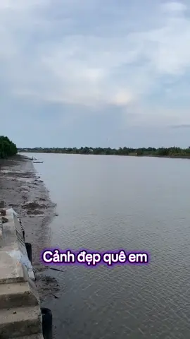 Cảnh đẹp quê em #71bentre_xinchao🌴 #xuhuong #tiktok #mientay #quehuong 