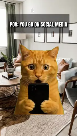 POV: You go on Social Media #socialmedia #internet #memes 