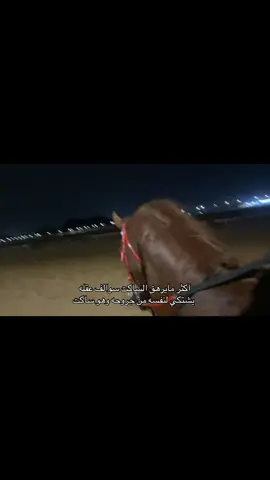 #خيل_وخياله🐎 