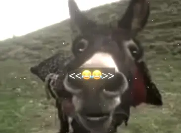 یادی بەخێر😂😂#kaksura4 #arin_713 #foryou #drama_editor01 #جوانترین_پۆست_لێرە_ببینە✨ 