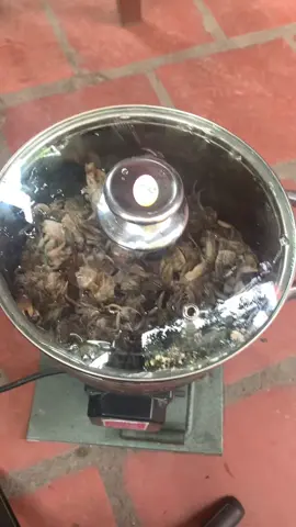 Xay cua với máy xay 750#mayxaythitdanang#mayxaythit#dienmay3h#mayxaythitgiadinh#mayxaythitgiadinhdanang 