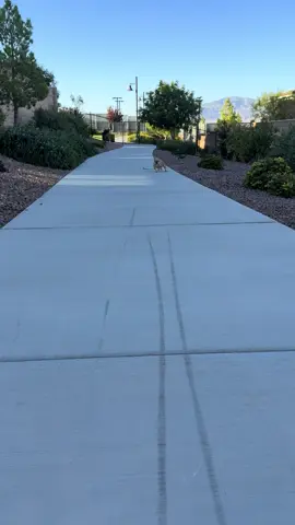 Crab 🦀 walking into the week like… snort snort  (yes, I’m fine - I just like to drift) #fyp #foryoupage #dogsoftiktok #frenchbulldog #tiktok 