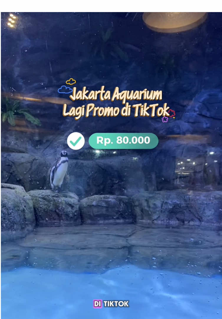 Finally Jakarta Aquarium Promo juga setelah ditunggu-tunggu dari lama. Cuss booking sekarang juga klik tag lokasi video ini. #jakartaaquarium #jakartaaquariumsafari #jelajahakhirpekan #healingbarengkeluarga #liburanjakarta 