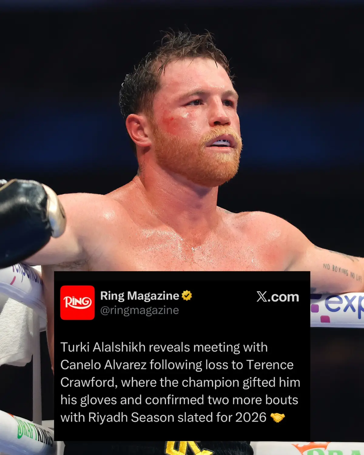 Who yall wanna see Canelo fight next? 👀 #caneloalvarez #canelo #boxing 