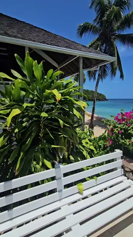 Escape to Couples San Souci, Jamaica 🌴✨ — the ultimate all-inclusive luxury resort designed for romance and relaxation. Nestled on dramatic cliffs with private beaches, mineral grottos, natural hot springs, and breathtaking ocean views 🌊💎. 💑 Perfect for honeymoons, anniversaries, or a spontaneous couples’ getaway 🍷 Unlimited premium drinks & gourmet dining 🧘‍♀️ Wellness + spa treatments included 🌅 Sunset views you’ll never forget This is Jamaica’s most romantic all-inclusive resort. 💕 #CouplesSanSouci #CouplesResorts #LuxuryAllInclusive #RomanticEscape #JamaicaResorts       @couplesresorts 