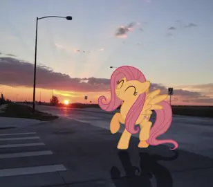 Dedicatoria #dedicatoria #fluttershy #MLP #fyp #tiktok 