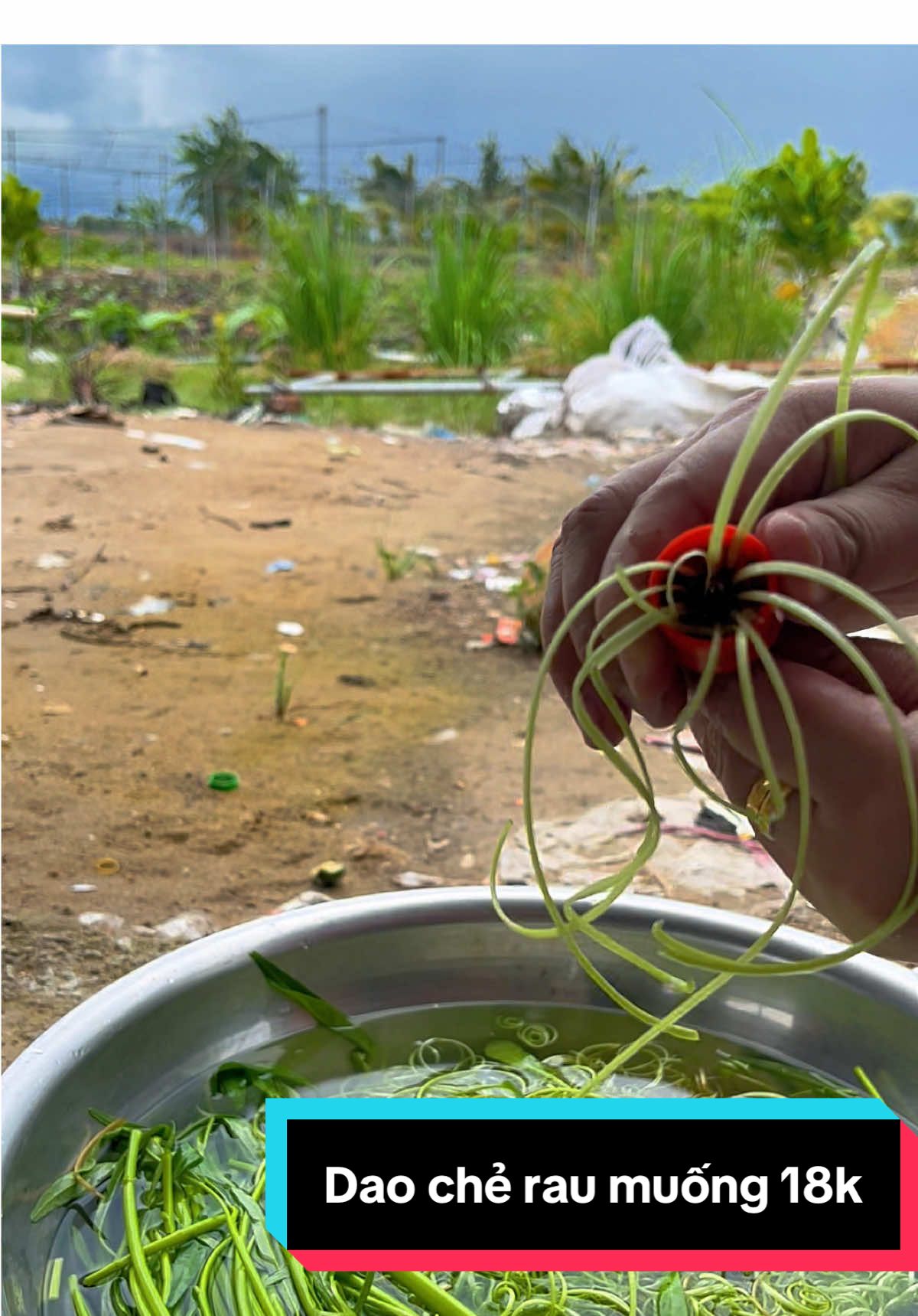 Dao chẻ rau muống tiện lợi giá thì hạt dẻ dễ mua dễ sử dụng #mebevinh #tiepthilienket #daocheraumuong #dungcunhabep #xuhuong  @Mẹ bé vinh  @Mẹ bé vinh  @Mẹ bé vinh 
