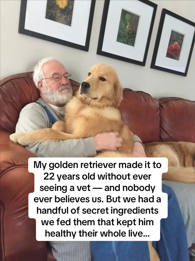 #usa🇺🇸 #BugMD #PetProtection #SafePets #FleaFree 